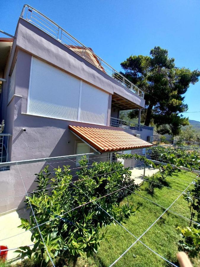 Guesthouse Eirini Porto Germeno Экстерьер фото